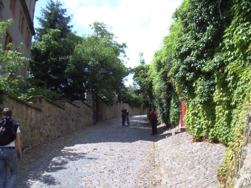 2011- 285.jpg